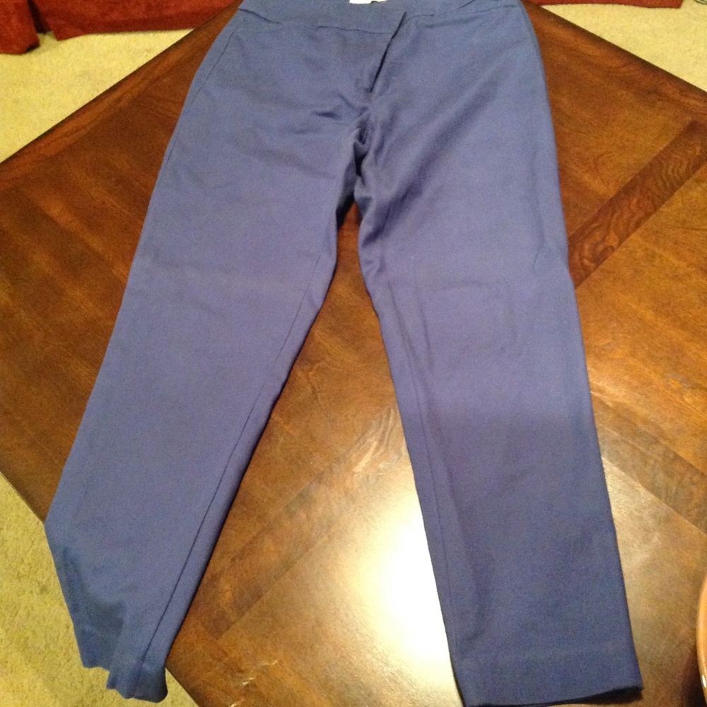 Ankle length pants